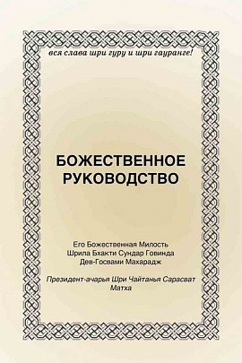 Божественное руководство